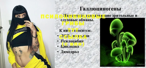 прущие крисы Армянск