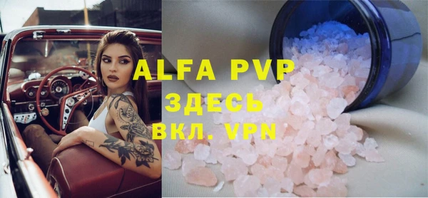 стаф Аркадак
