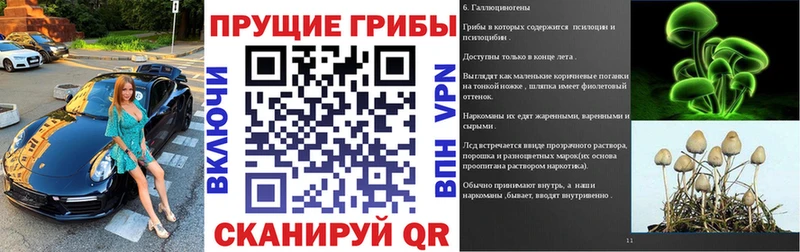 Псилоцибиновые грибы мицелий  Купить  Магадан 